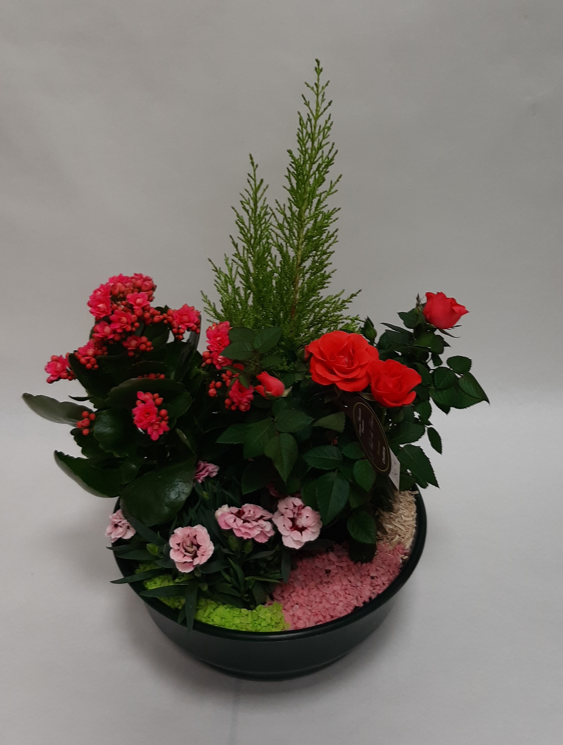 Coupe de plantes extérieur