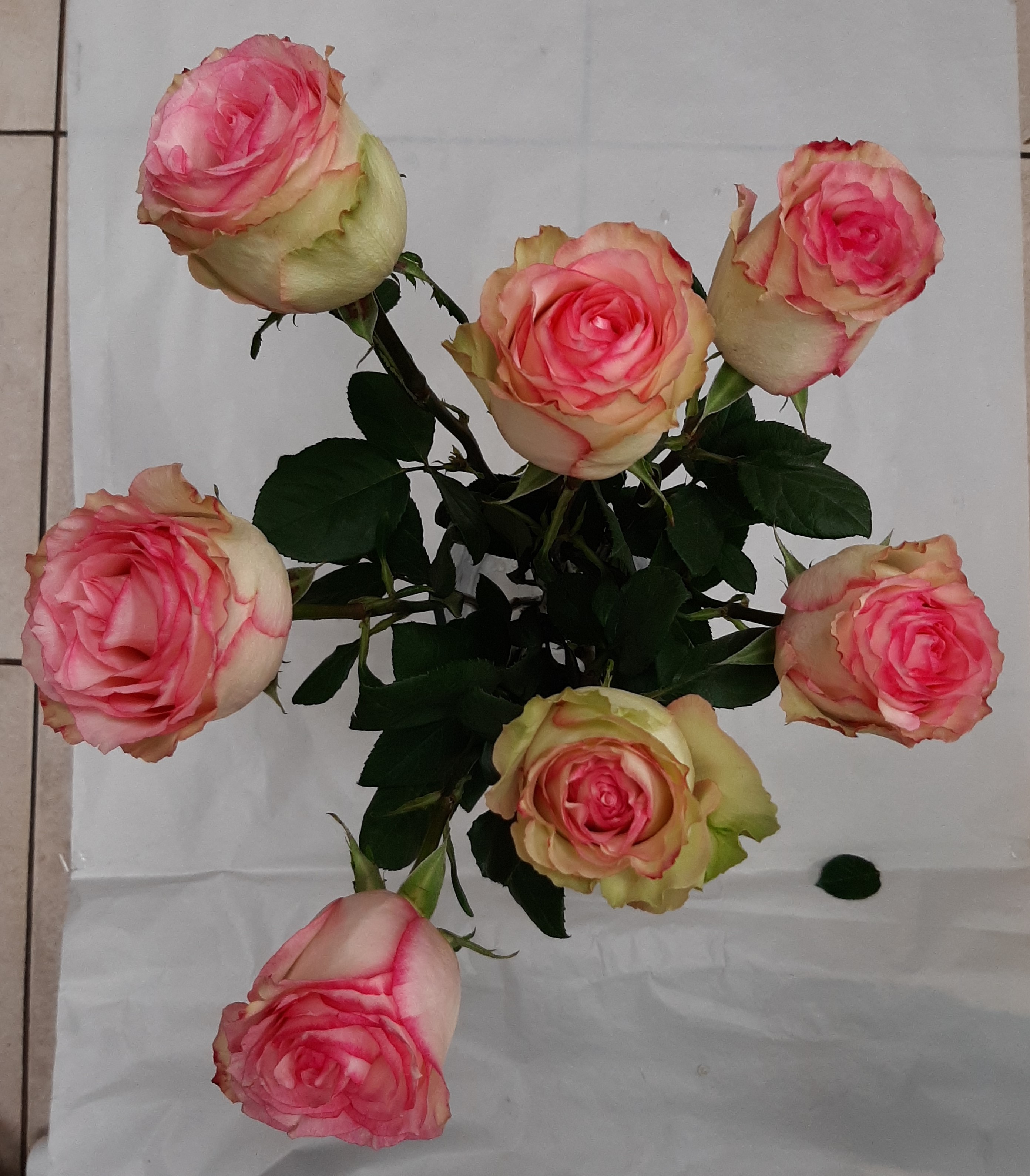 Bouquet de 9 grandes roses