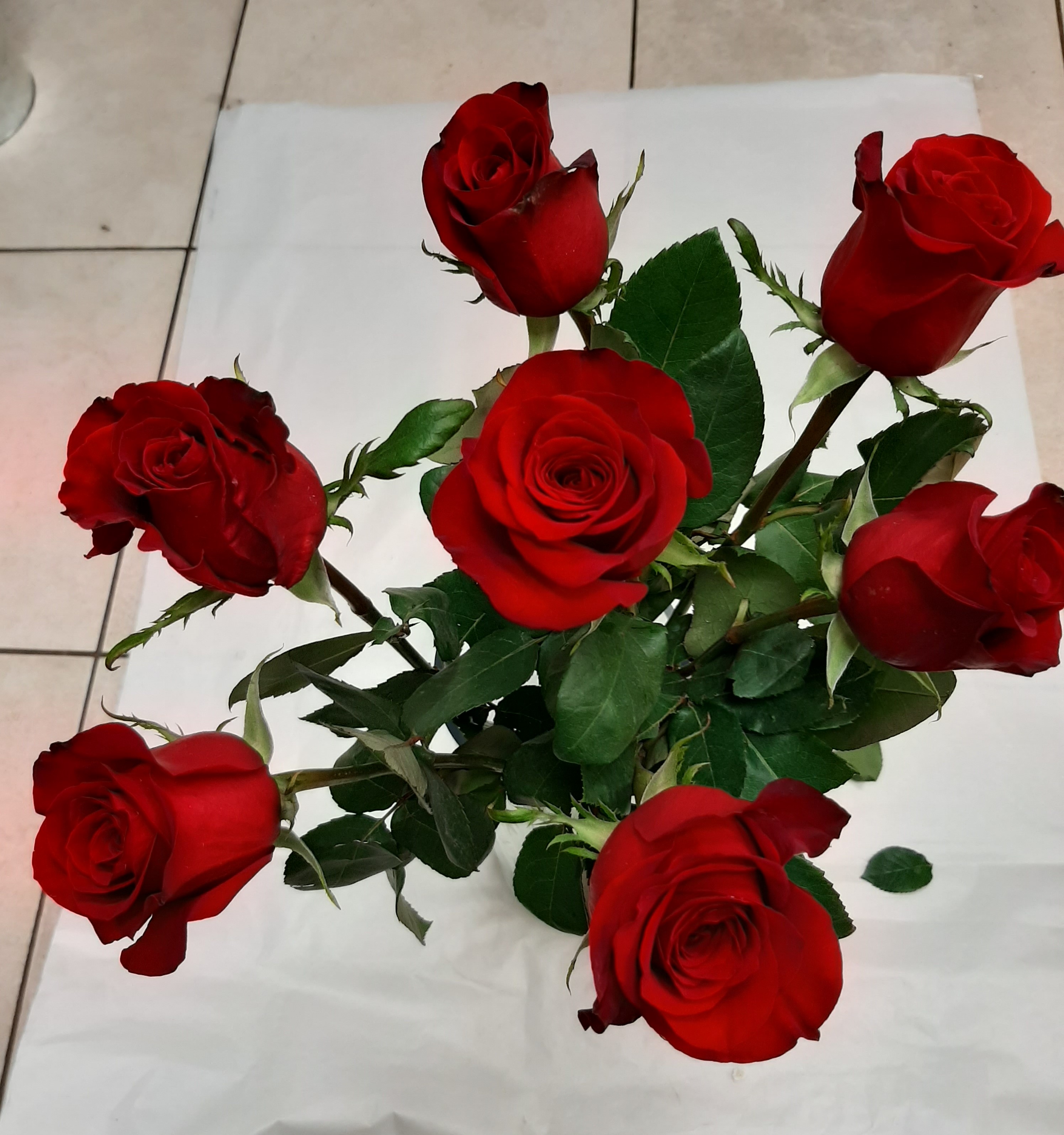 Bouquet de 11 grandes roses