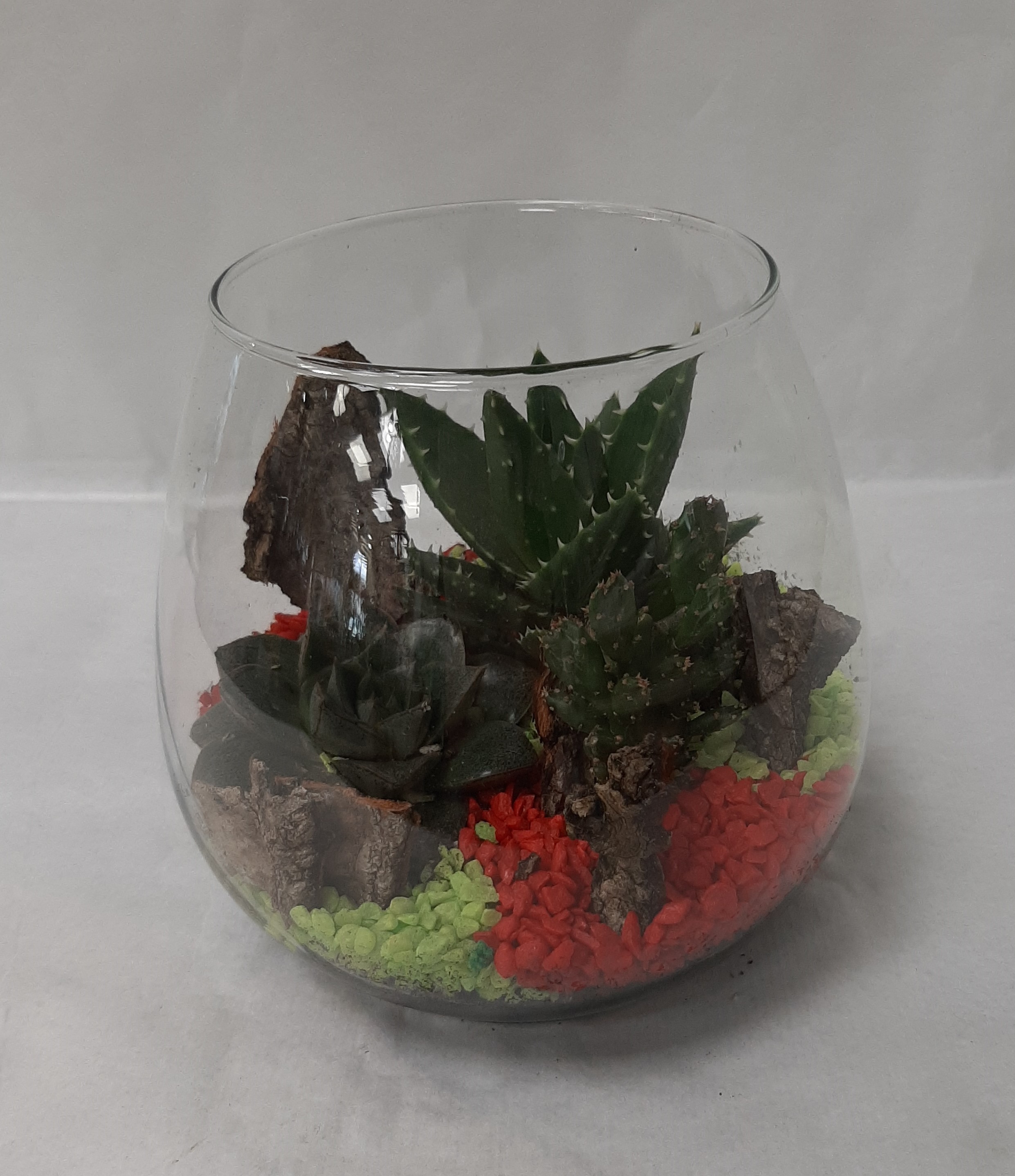 Terrarium