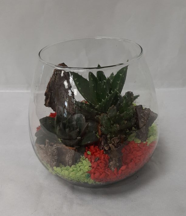 Terrarium