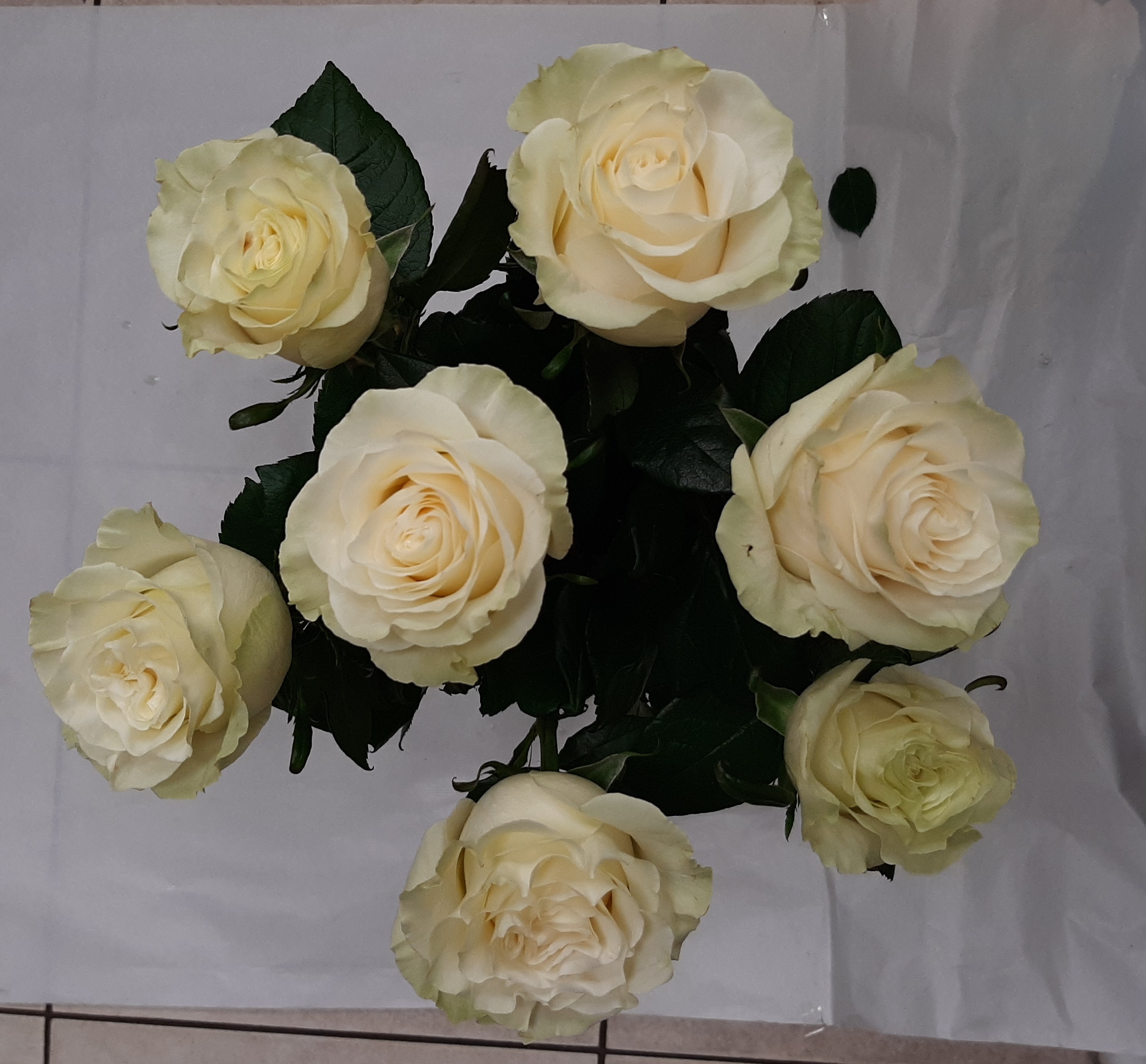 Bouquet de 7 grandes roses