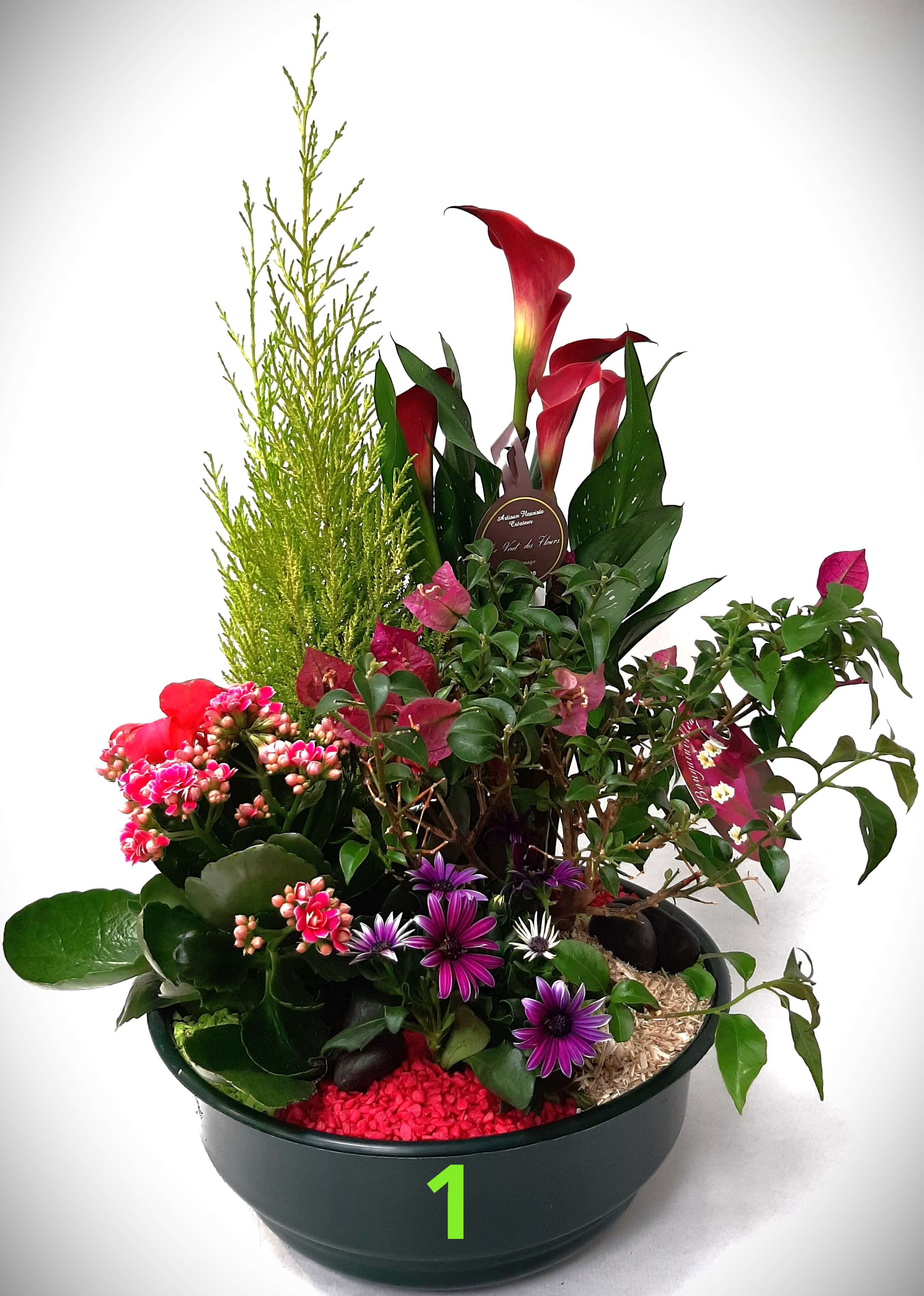 Coupe de plantes à partir de : 