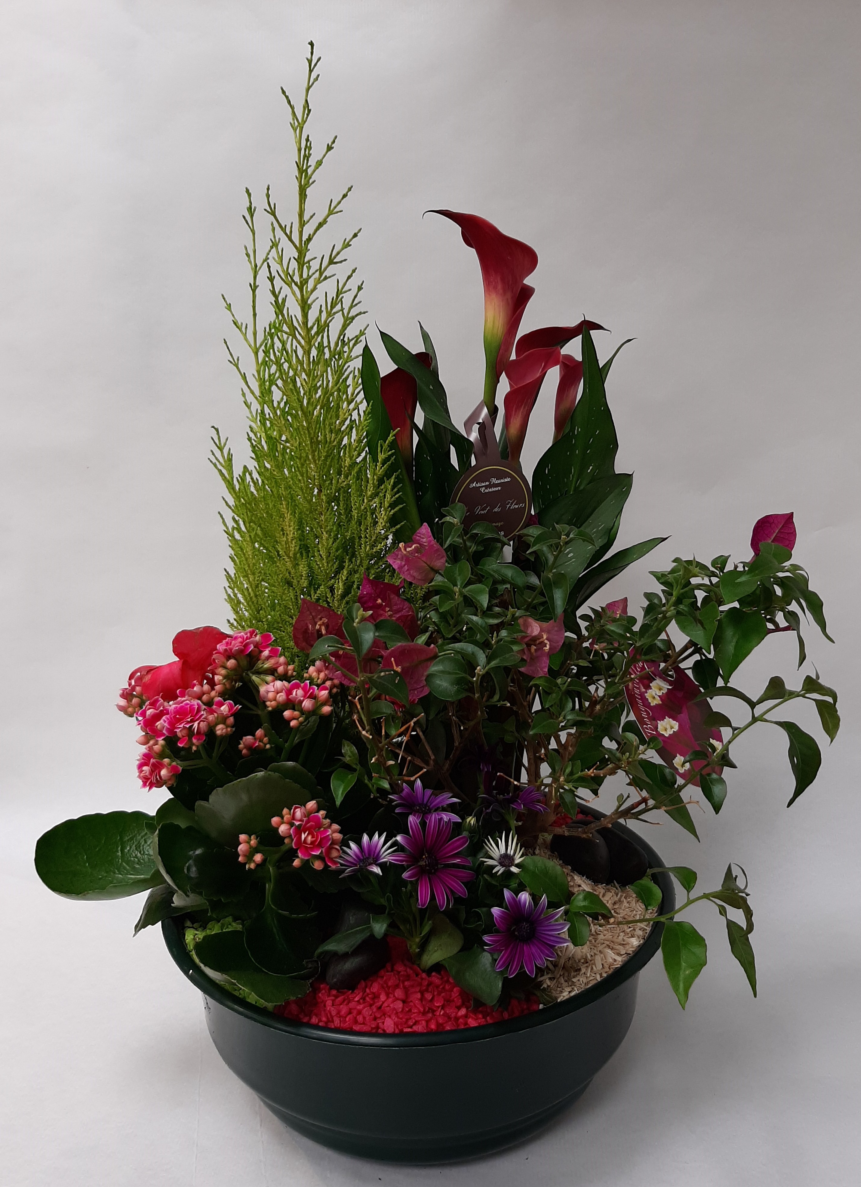 Coupe de plantes pastels