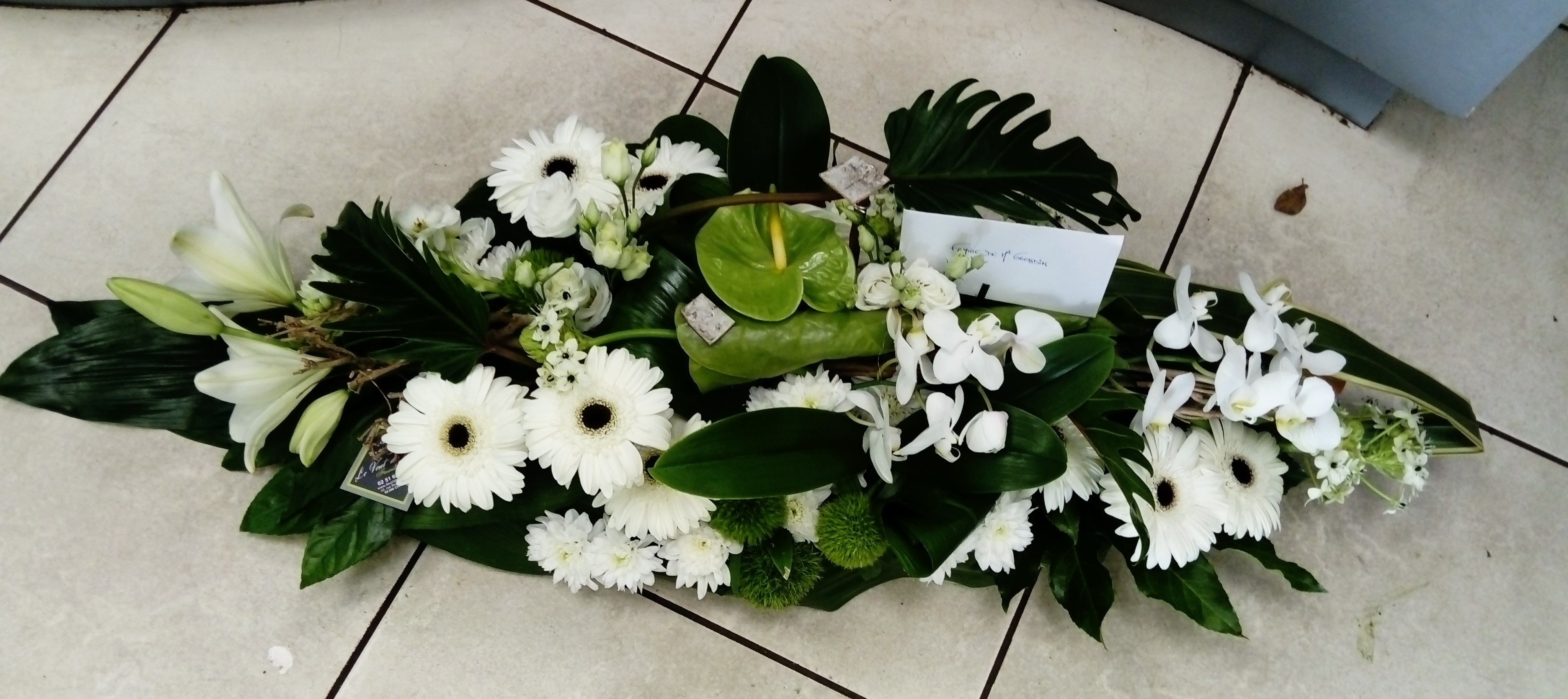 Raquette moderne blanc et vert