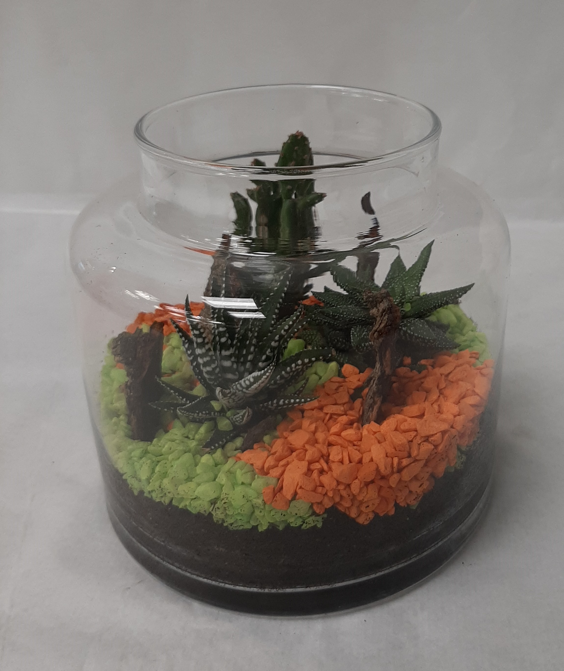 Terrarium