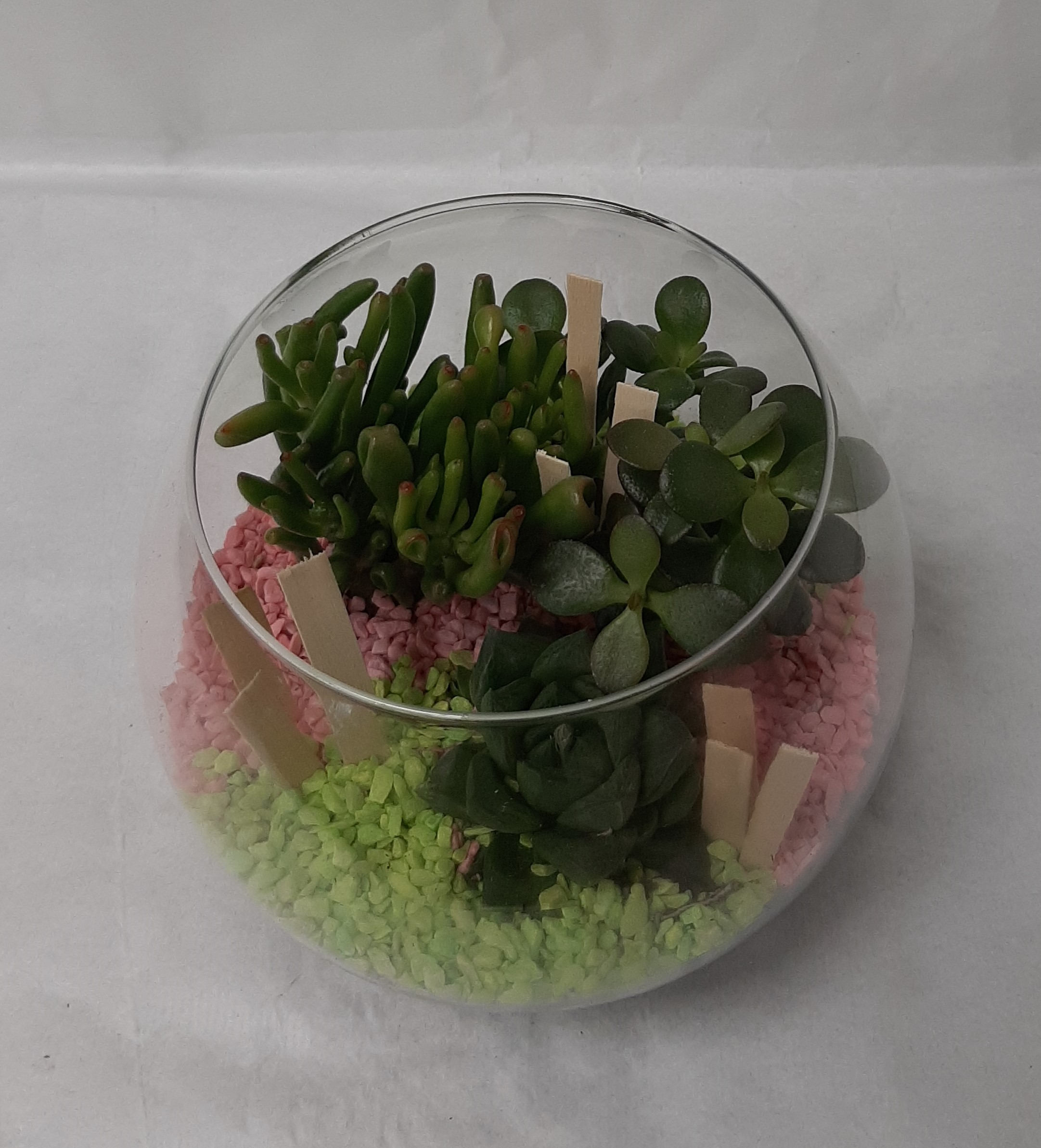 Terrarium