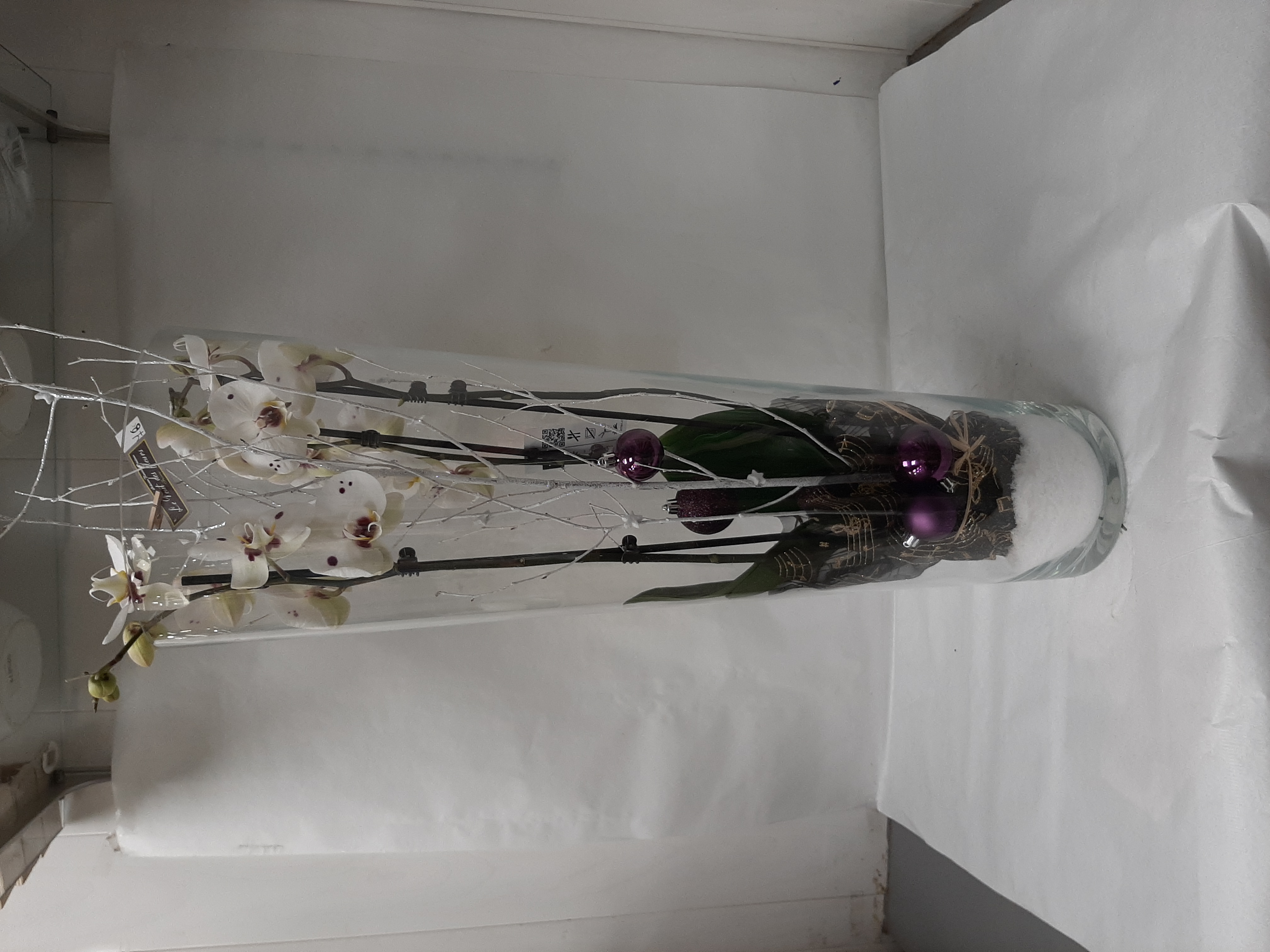 Orchidée dans vase en verre
