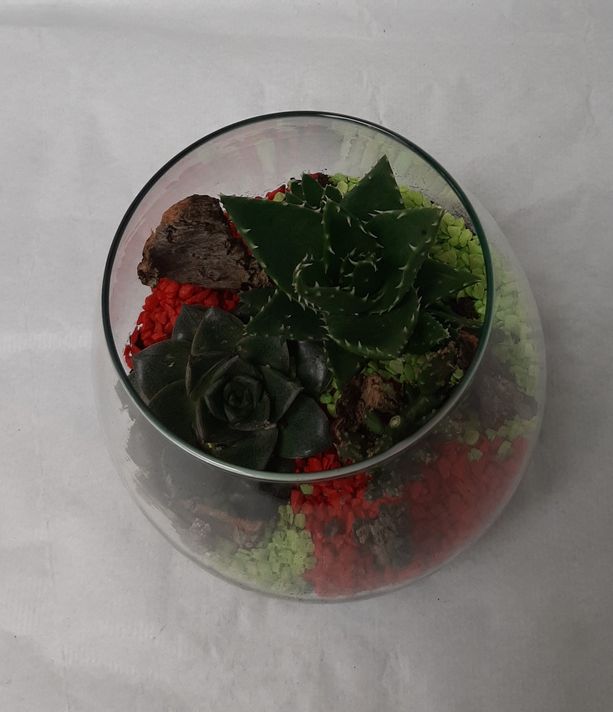 Terrarium