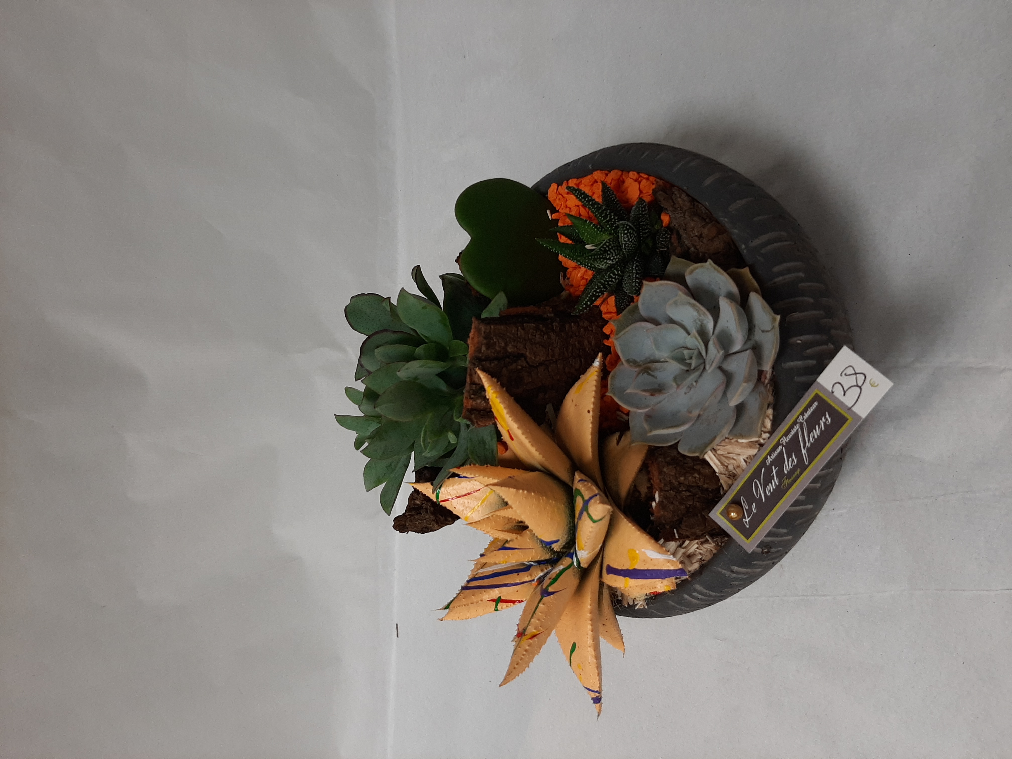 Composition de plantes grasses